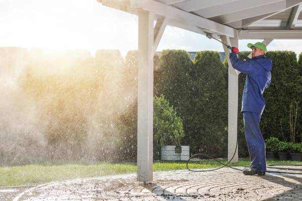 Pre-Holiday Cleaning in Brightwood, VA
